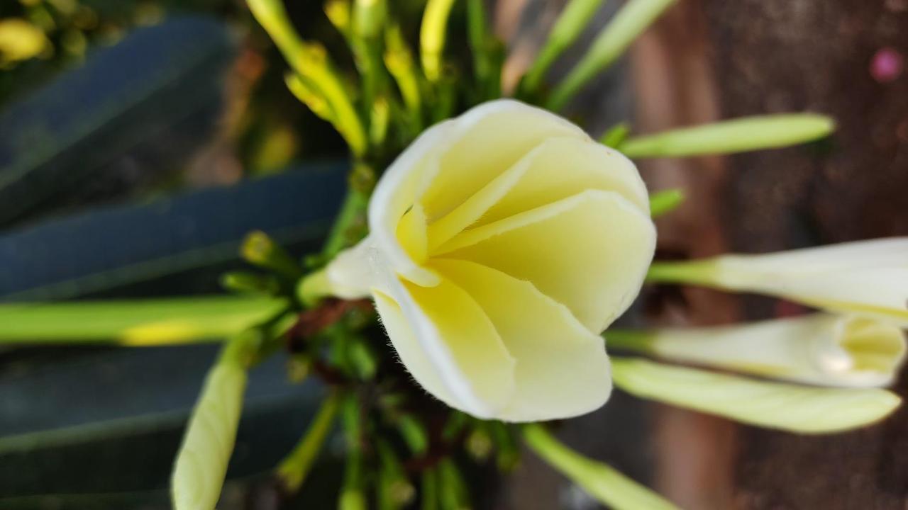 Kanthi Resorts Badami Bāgalkot 外观 照片