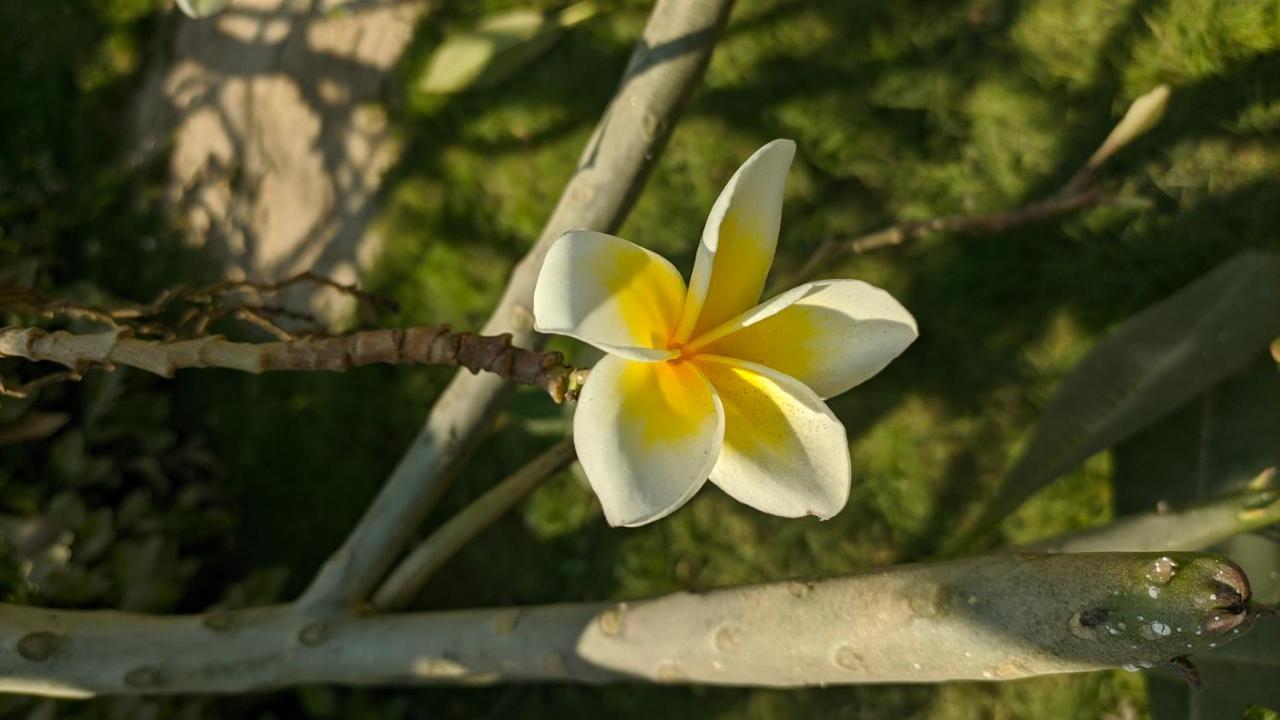 Kanthi Resorts Badami Bāgalkot 外观 照片