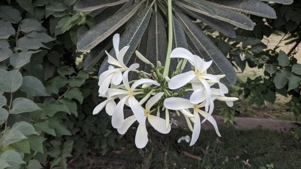 Kanthi Resorts Badami Bāgalkot 外观 照片