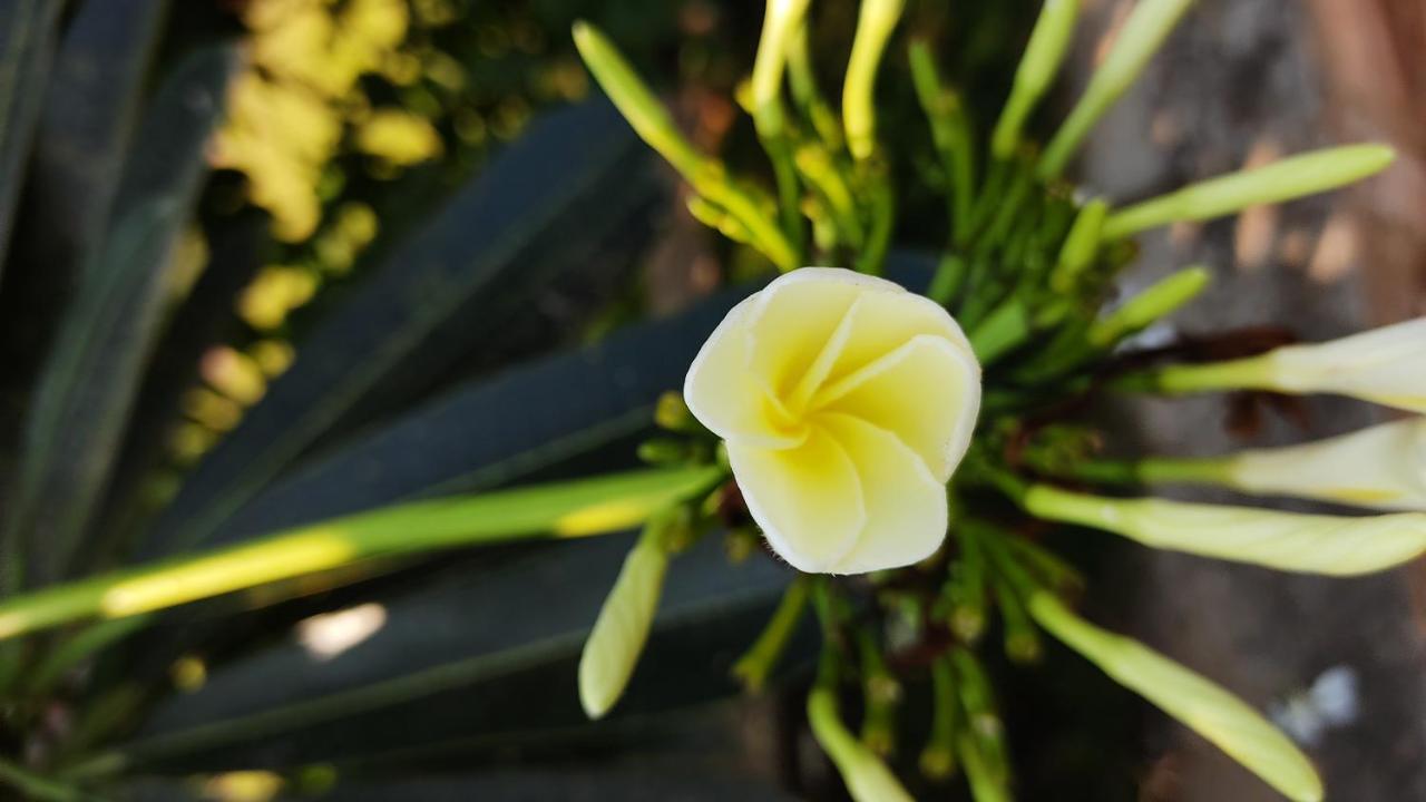 Kanthi Resorts Badami Bāgalkot 外观 照片